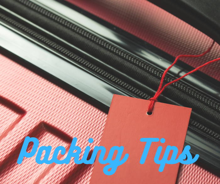 Copy of Travel (Instagram Story) (Facebook Post (Landscape)) copy Tour Plan Packing Tips