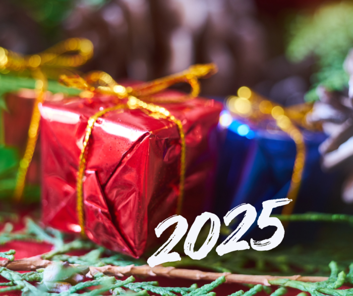 2025 Gift Guide