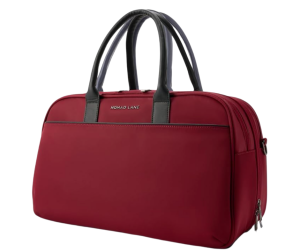 The Nomad Lane Bento Bag